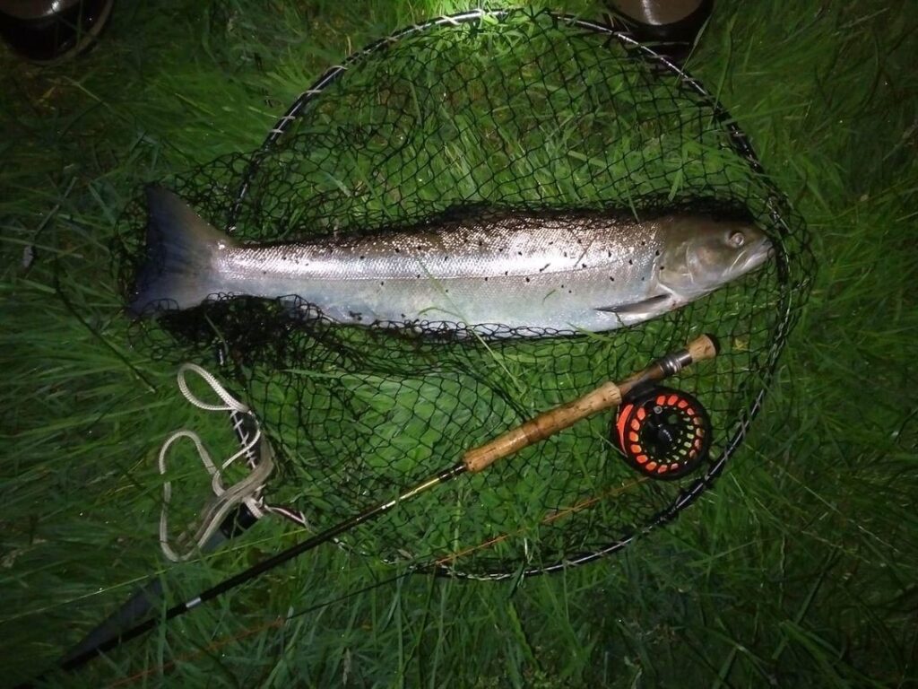 Aber Angling Assoc 2 1024x768