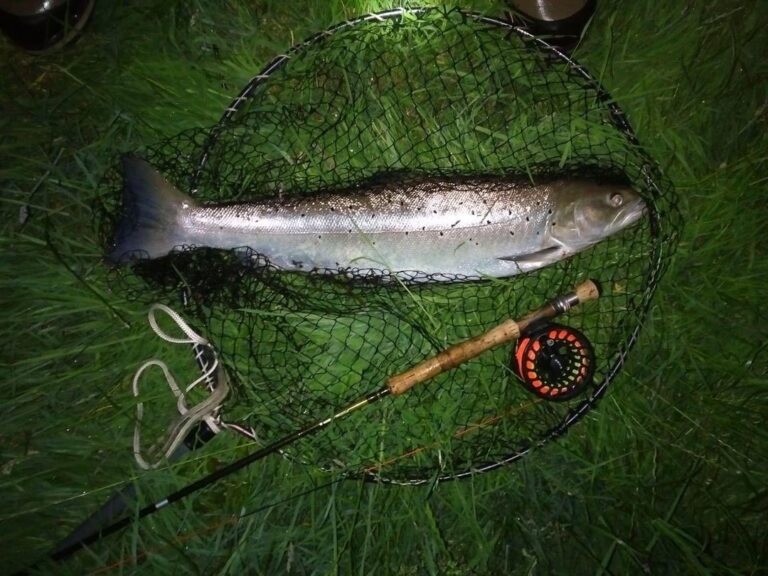 Aber Angling Assoc 2 768x576