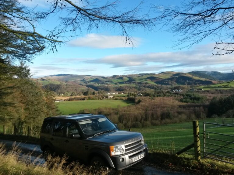 Disco DB view 768x576