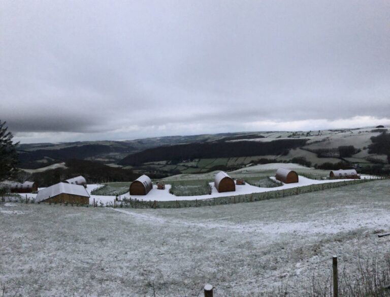 F5C73BB1 064F 4FB1 A113 1F702577AB8B 768x584