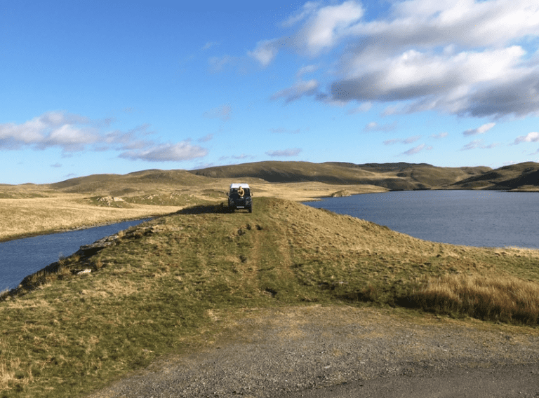 Jane Evans 2 768x568