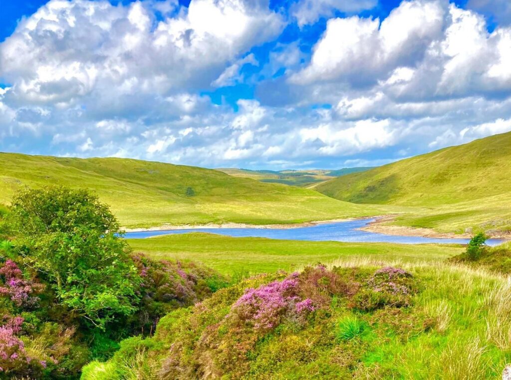 Nia Davies 2 1024x762