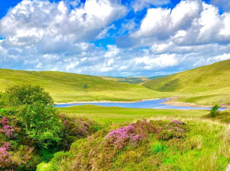 Nia Davies 2 768x572