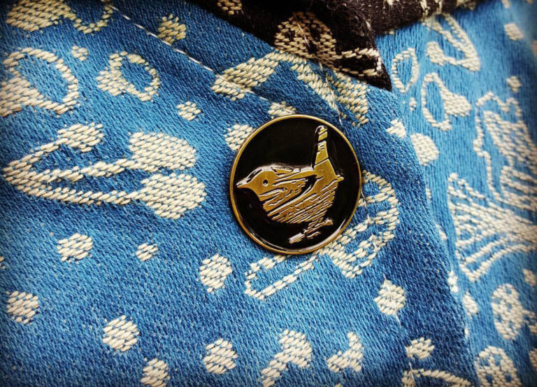 Oak wren 5 1 768x553