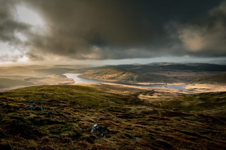 Rhodri Jones 1 768x512