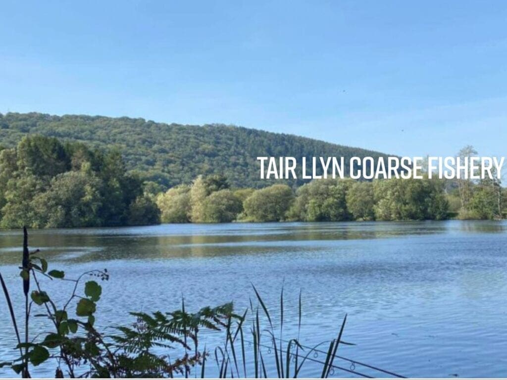Tair Llyn 1024x768
