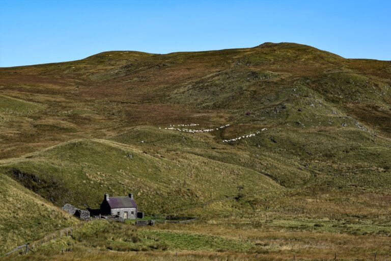 Tracy Langford 2 768x512