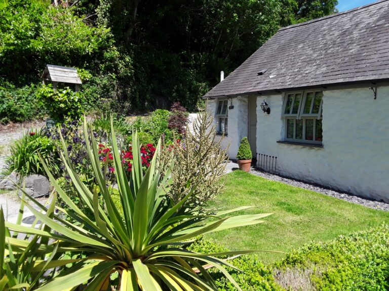 dolau afon 3 768x576