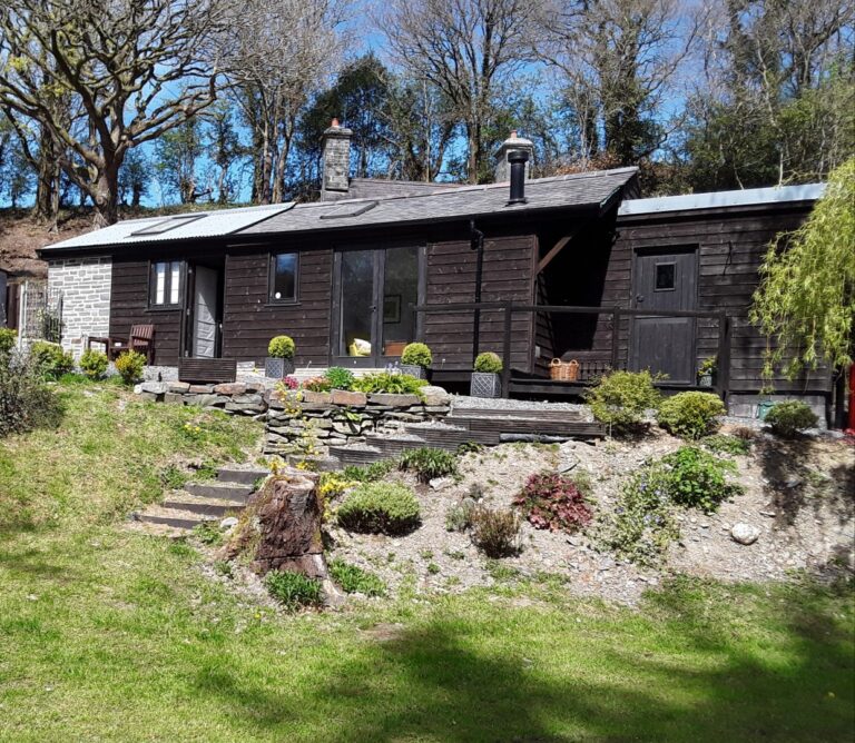 dolau afon 4 768x668