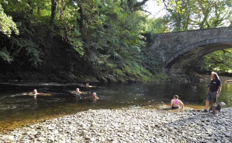 dolau afon swimming 768x474