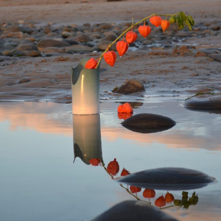 pop up 19 x 9 cm 768x768