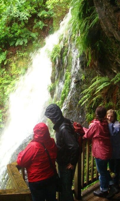 Devils Bridge Falls