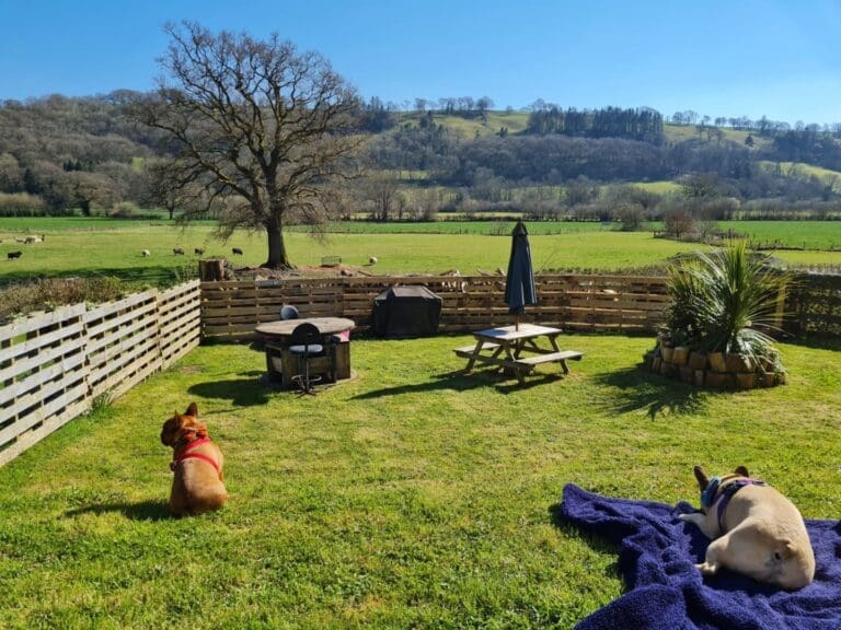 IMG 20210404 WA0005 768x576