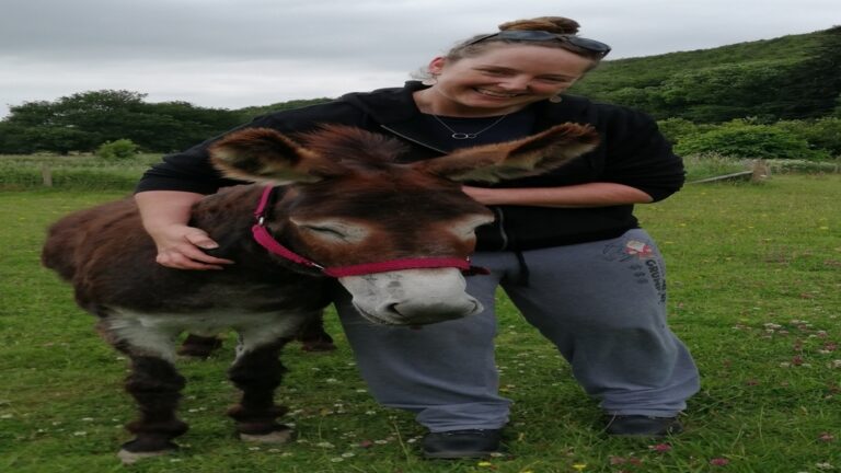 IMG 20210627 213644 768x432