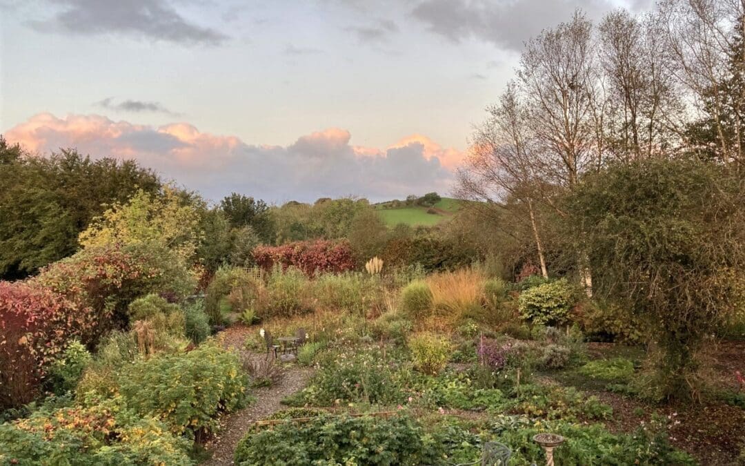 Yr Efail Gardens
